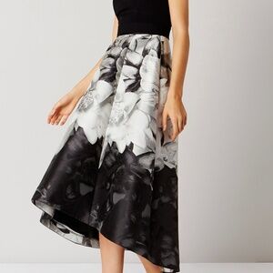 Coast occasion dress